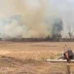 Api Membakar Lahan Kebun di Belakang Pabrik PT Cleo Cibatu. (HaloPWK)